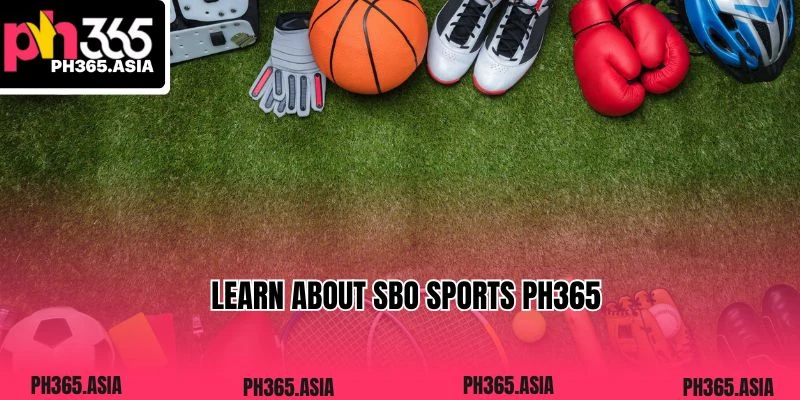 Learn about Sbo Sports PH365